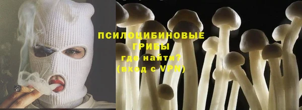 спиды Армянск