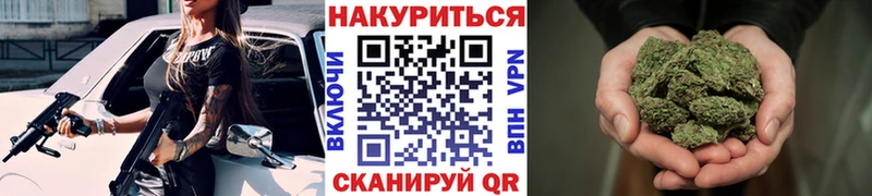 Марихуана планчик  Светлоград 